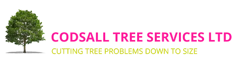 Codsall Tree Services Ltd - Local Tree Surgeon